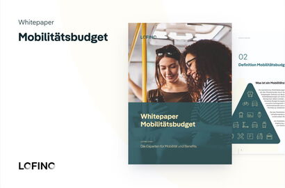 Whitepaper Mobilitätsbudget
