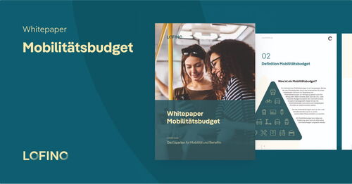 Whitepaper Mobilitätsbudget